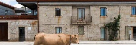 Vilavella Hotel & Spa