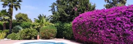 Villa with Private Pool, BBQ, Fitness Center & Sauna