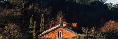 Wine Tourism-Quinta do Ameal