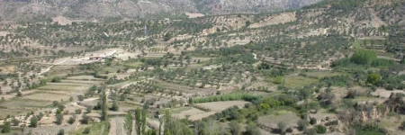 Zapatera