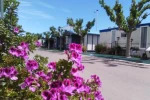 Camping y Bungalows Monmar