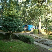 Camping Carlos I. Cuacos de Yuste. Cáceres. P1000015