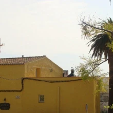 Hort de la Cinteta. Alcover. Tarragona. DSC01747