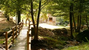 Riudecòs Agroturisme