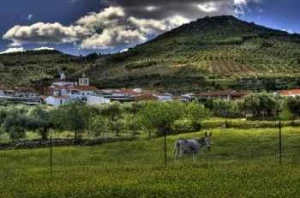 Alojamiento Rural Tajo Internacional