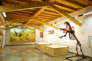 Museo de Prehistoria y Paleontología de Orce