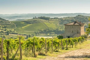 Enlace a la de web Agriturismo Il Casolare Di Bucciano Agriturismo Il Casolare Di Bucciano
