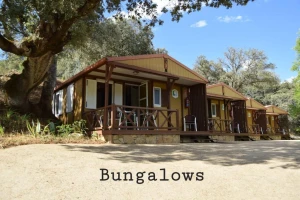 Enlace a la de web Bungalows, Camping Vega de Francia Bungalows, Camping Vega de Francia
