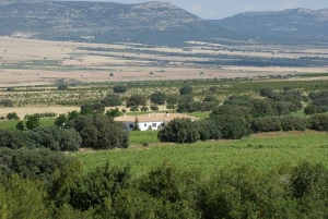 Enlace a la de web Hotel rural Finca El Romeral Hotel rural Finca El Romeral