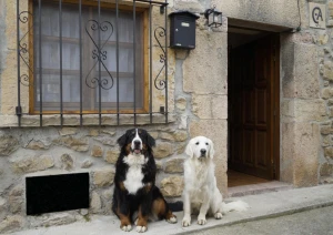 Enlace a la de web Casa de Aldea El Sol (elsoldelasmascotas) Casa de Aldea El Sol (elsoldelasmascotas)