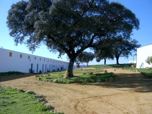 Over Limit Aventura - Finca El Campillo