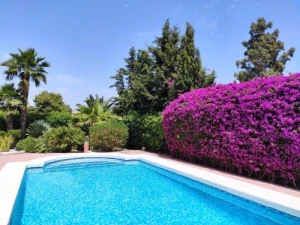 Villa with Private Pool in Alicante