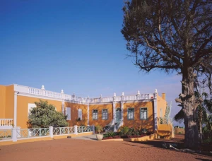 El Patio De Tita III