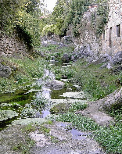 Un Rincón Salmantino