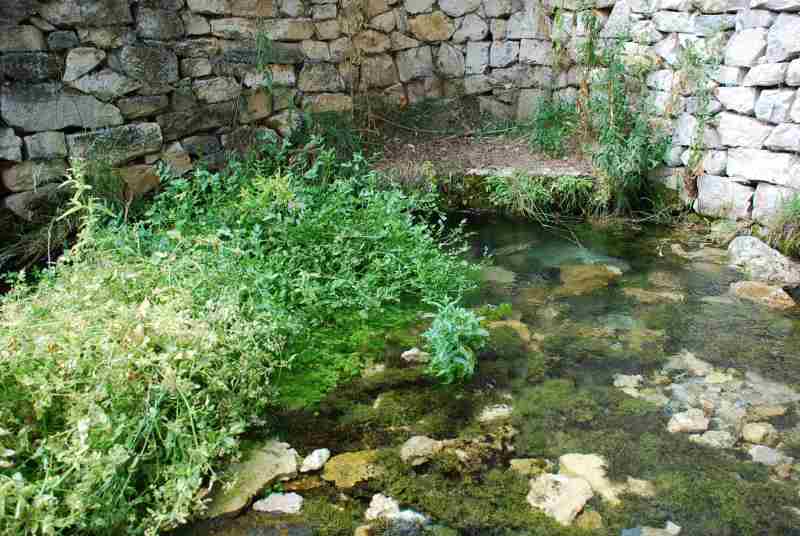 La laguna de Somolinos La laguna de Somolinos